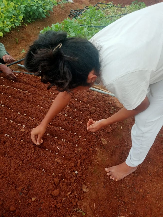 From Seed to Plate