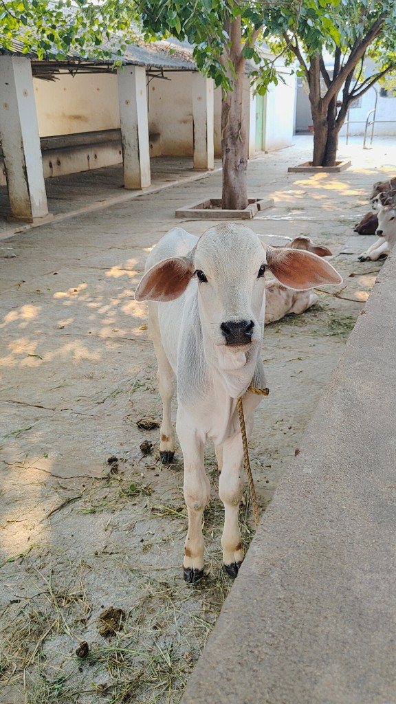 IMG20231027155330_01