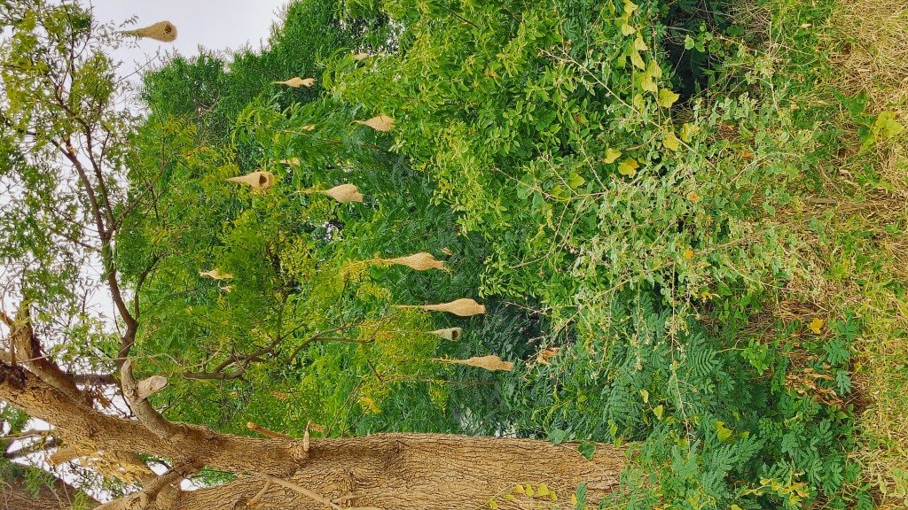 IMG_20250725_163950874_HDR