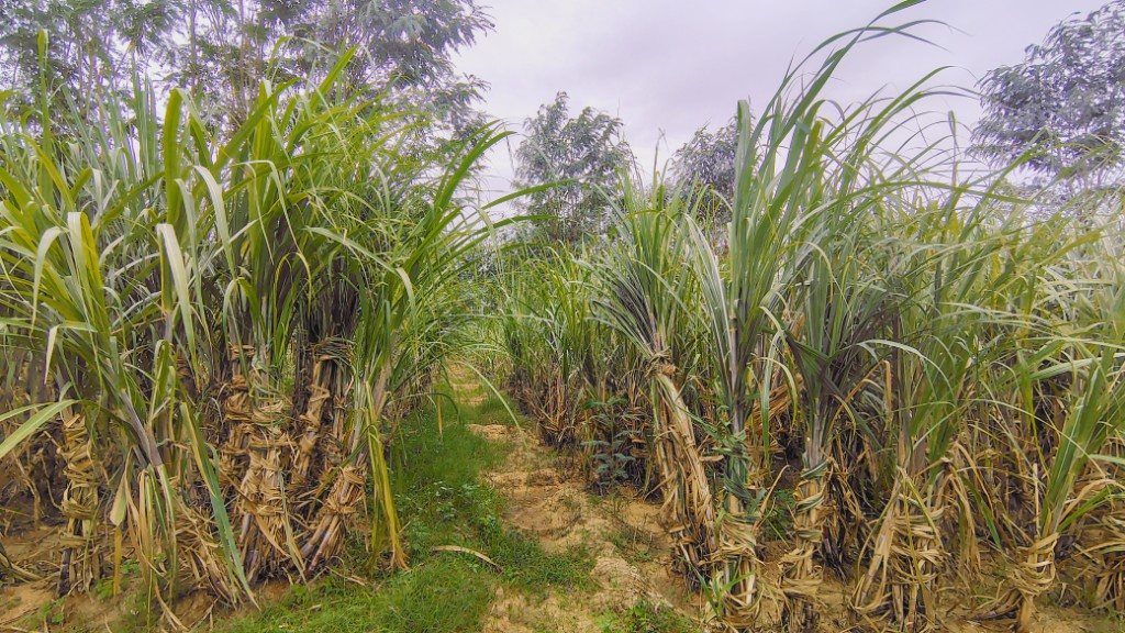 IMG_20250725_164056907_HDR