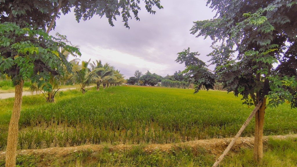 IMG_20250725_164337175_HDR