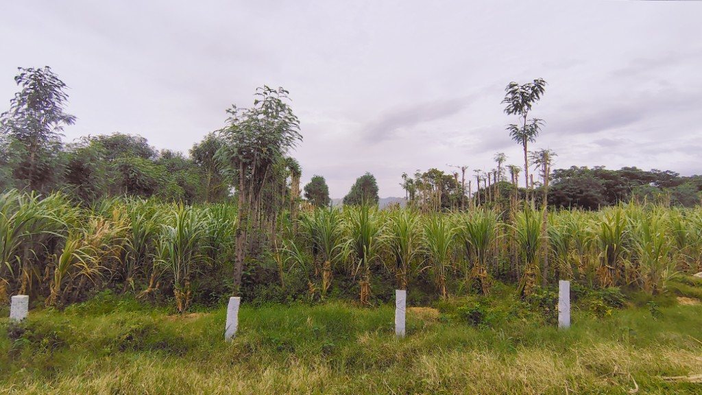 IMG_20250725_164346265_HDR