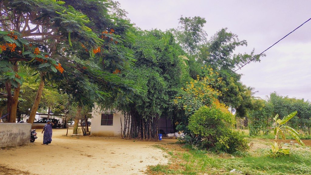 IMG_20250725_164749803_HDR