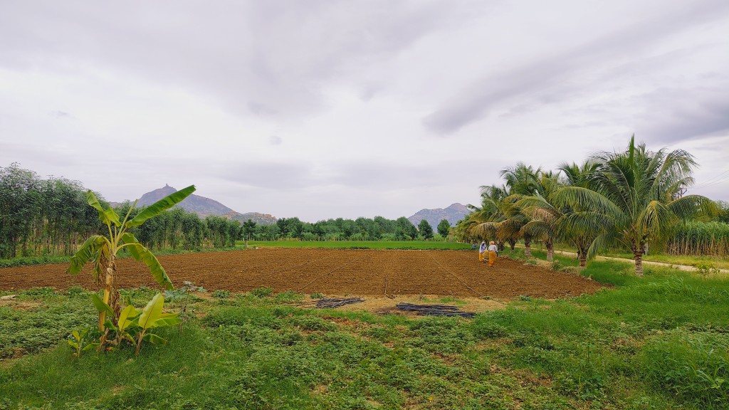 IMG_20250725_164806637_HDR