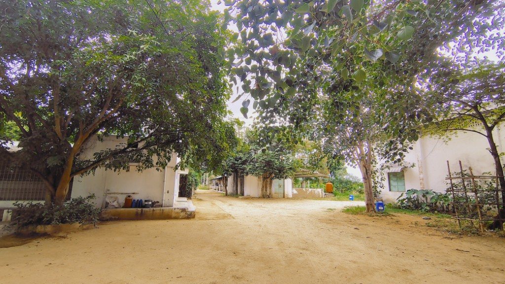 IMG_20250725_165147793_HDR