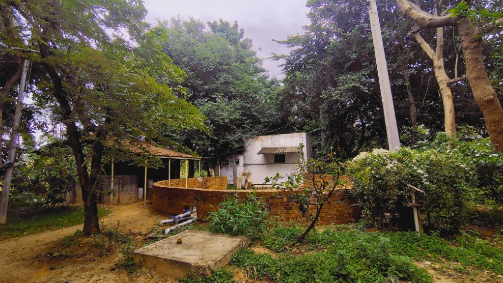 IMG_20250725_165212983_HDR