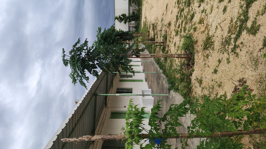 IMG_20250725_165859988_HDR